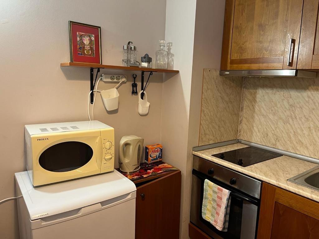Ski Zone At Gondola, Perfect One Bdrm, Fast Wifi, Netflix, Quiet, Warm Bansko Exterior foto